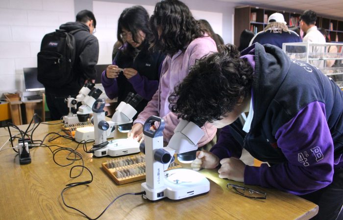 Proyecto Mineralogía Interactiva, Explorando los Tesoros de la Tierra entre la Universidad de Atacama y la Comunidad Regional
