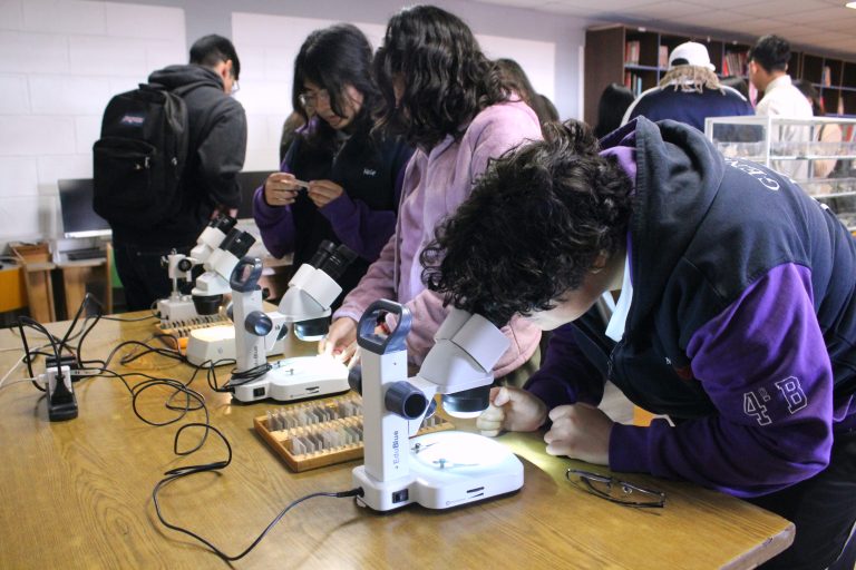 Proyecto Mineralogía Interactiva, Explorando los Tesoros de la Tierra entre la Universidad de Atacama y la Comunidad Regional